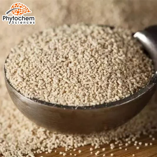 Good quality  Hot Sale 100% Pure natural Yeast Extract 80%-85% Beta Glucan 1,3/1,6