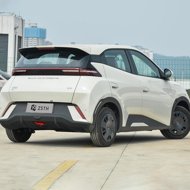 2024 байд Чайка Новый евв автомобиль 305 км энергетический Byd Ev Car Seagull Fly Edition