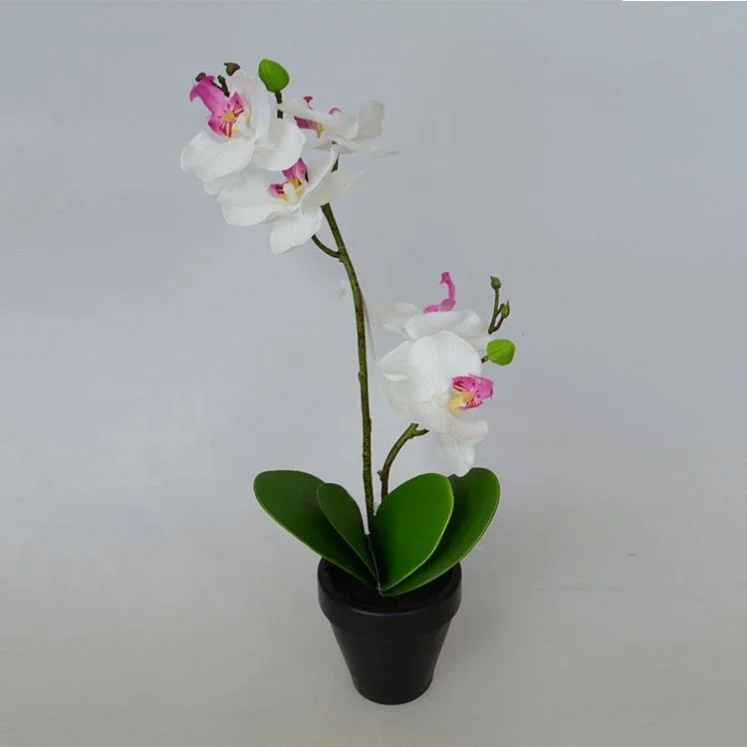 Cheap prices artificial orchid flowers bonsai wedding decorative phalaenopsis butterfly