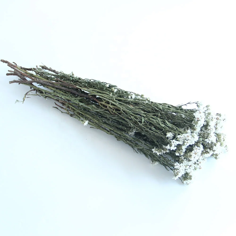 Wholesale New Arrivals Wedding Flowers Bouquets Ins Style White Jap Apricot For Home decoration or Valentines Day Gifts