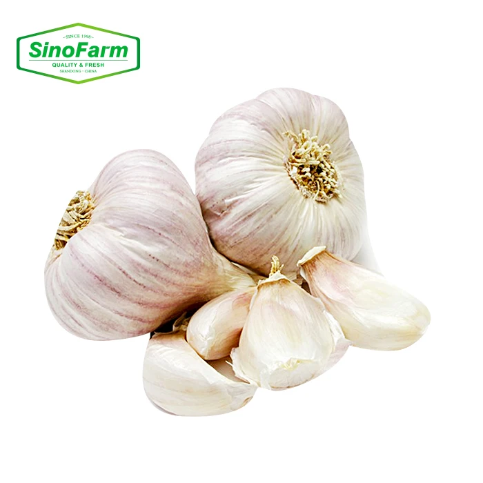Fresh Normal White Garlic / Red Galic in 10kg/Carton with Different Size -Hot Sale !!!