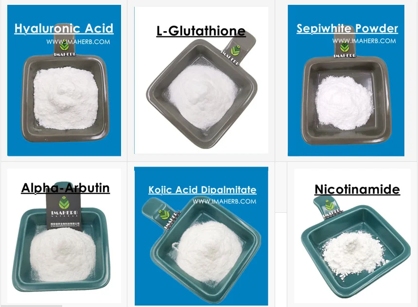 High Quality Narcissus Extract Powder Narcissus Extract Narcissus Tazetta Bulb Extract