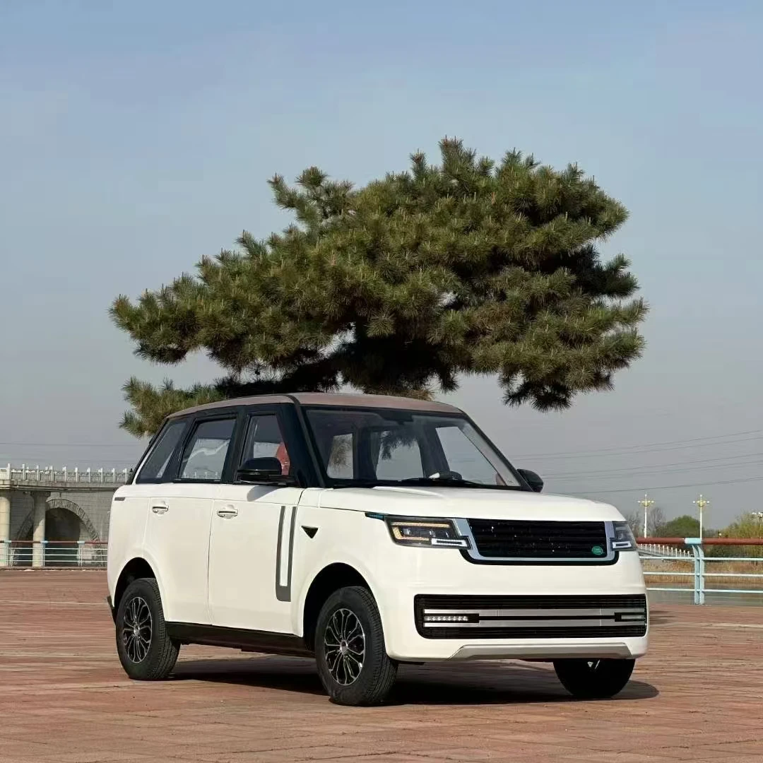 suv electric car mini electric car 4 door chinese cheap electric car