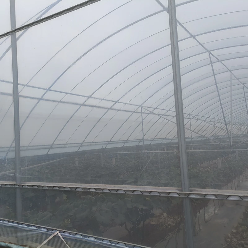 Factory Supply Agricultural Greenhouses Wholesale Manufacture of Covered Plastic Film with Stable Function