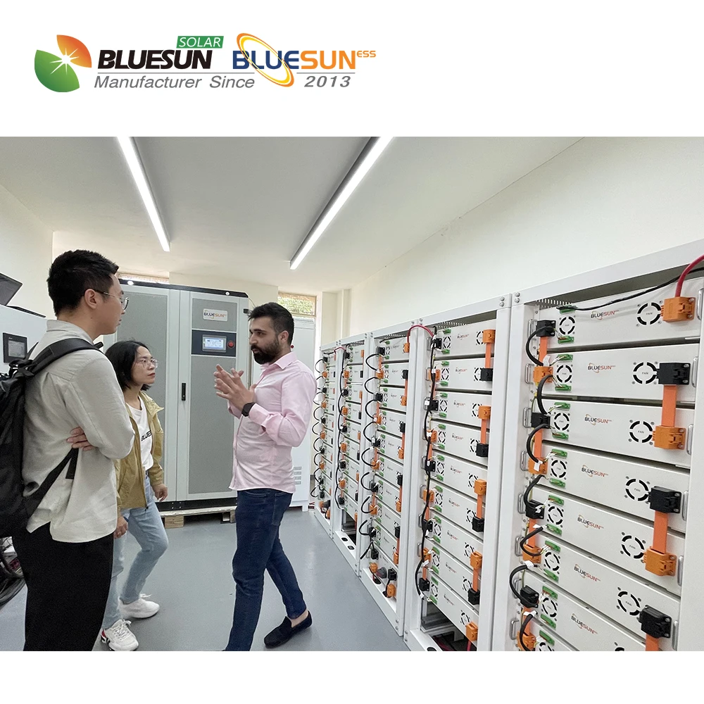 Bluesun 2024 30kw solar system with lithium battery  30000w 100kw 1mw battery energy storage systems for factory