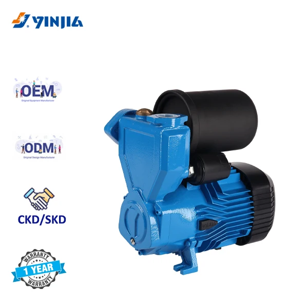 Smart Self-Priming Automatic Pump with AC Motor Cast Iron Watering Type Pressure Tank