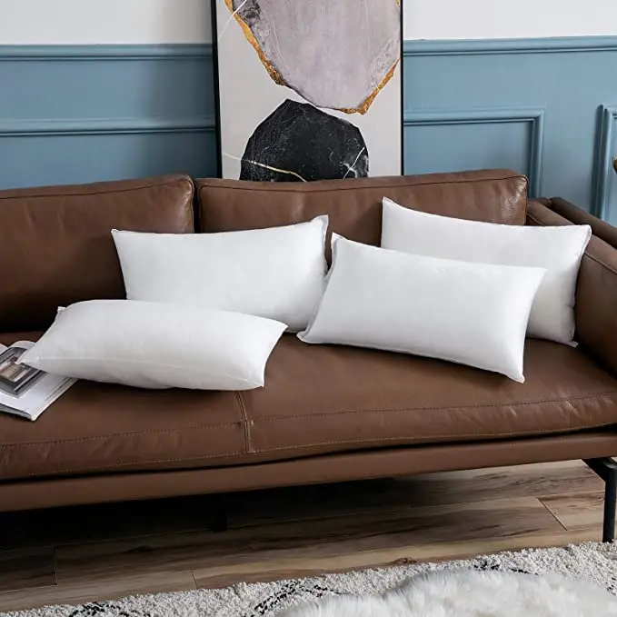 Hypoallergenic Throw Pillow for Couch or Bed Decorative Insert Square/100% Polyester/nches Bed and Couch Pillows Indoor