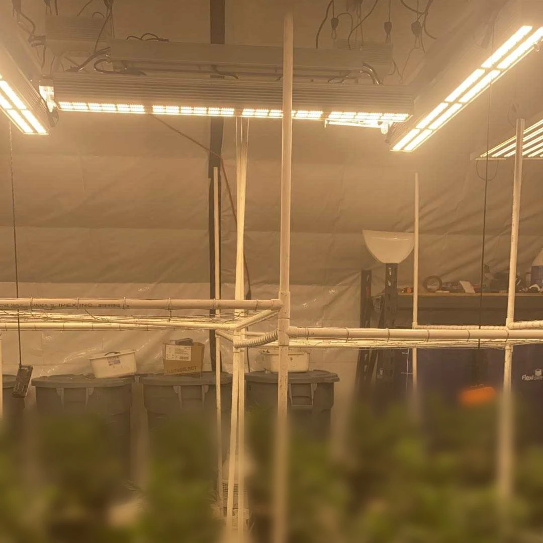 Greenhouse 1000W HPS Lamps Replacement LED Grow Lights Sunritek GX 330W 530W 660W Supplementary Lighting Agriculture LED