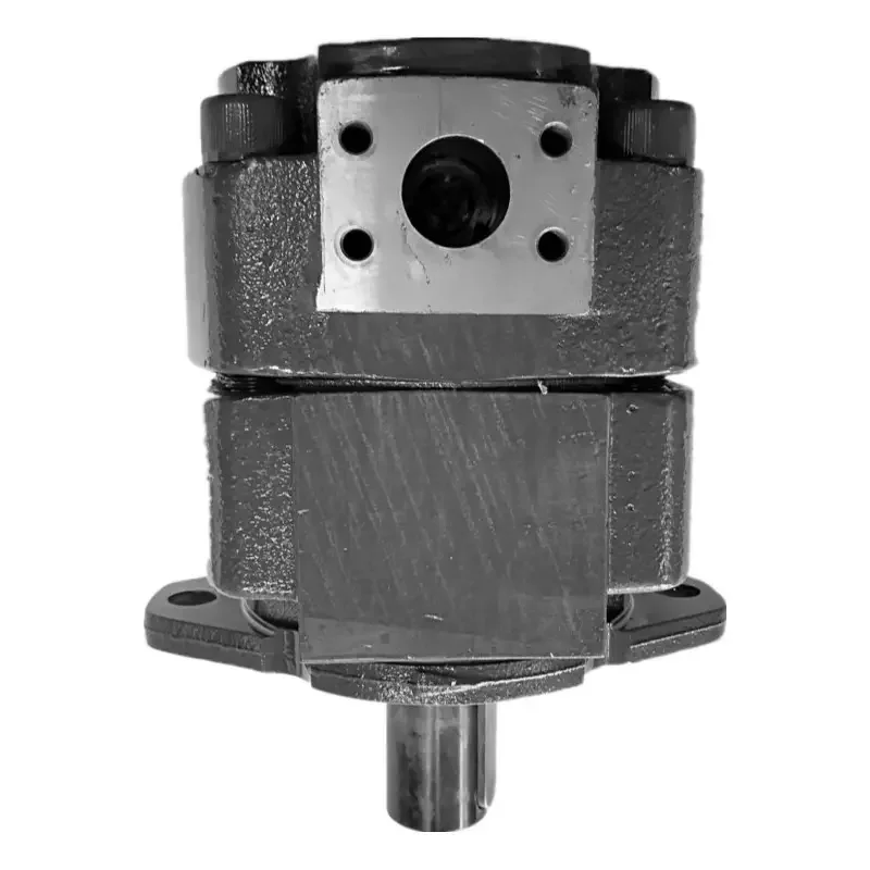 Немецкий pumpQX82-250 шестерни бухера/62-125 // 52-050R186 QX53-050/31-020R QX82-250/42-032/43-032R