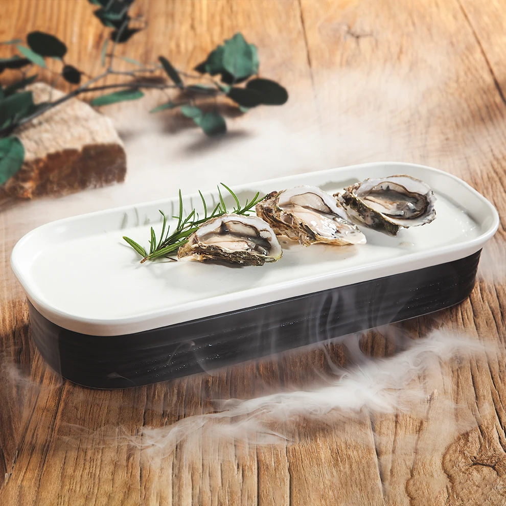 ShengJing Hot Wholesale Black and White Rectangle Porcelain Sashimi Sushi Seafood Dry Ice Smoking Plate Ceramic