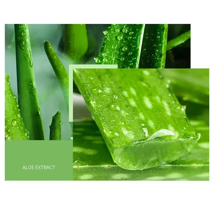 OEM Bioaqua Soothing Aloe Vera Collagen and Vitamin C Lasting Moisture Skin Care for Firming Anti-Aging Nourishm Face Creament