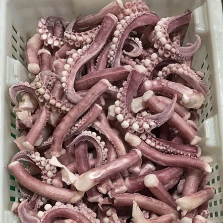 Frozen Squid Tips Cut From Sexual Organ/ Long Sexual Tentacle