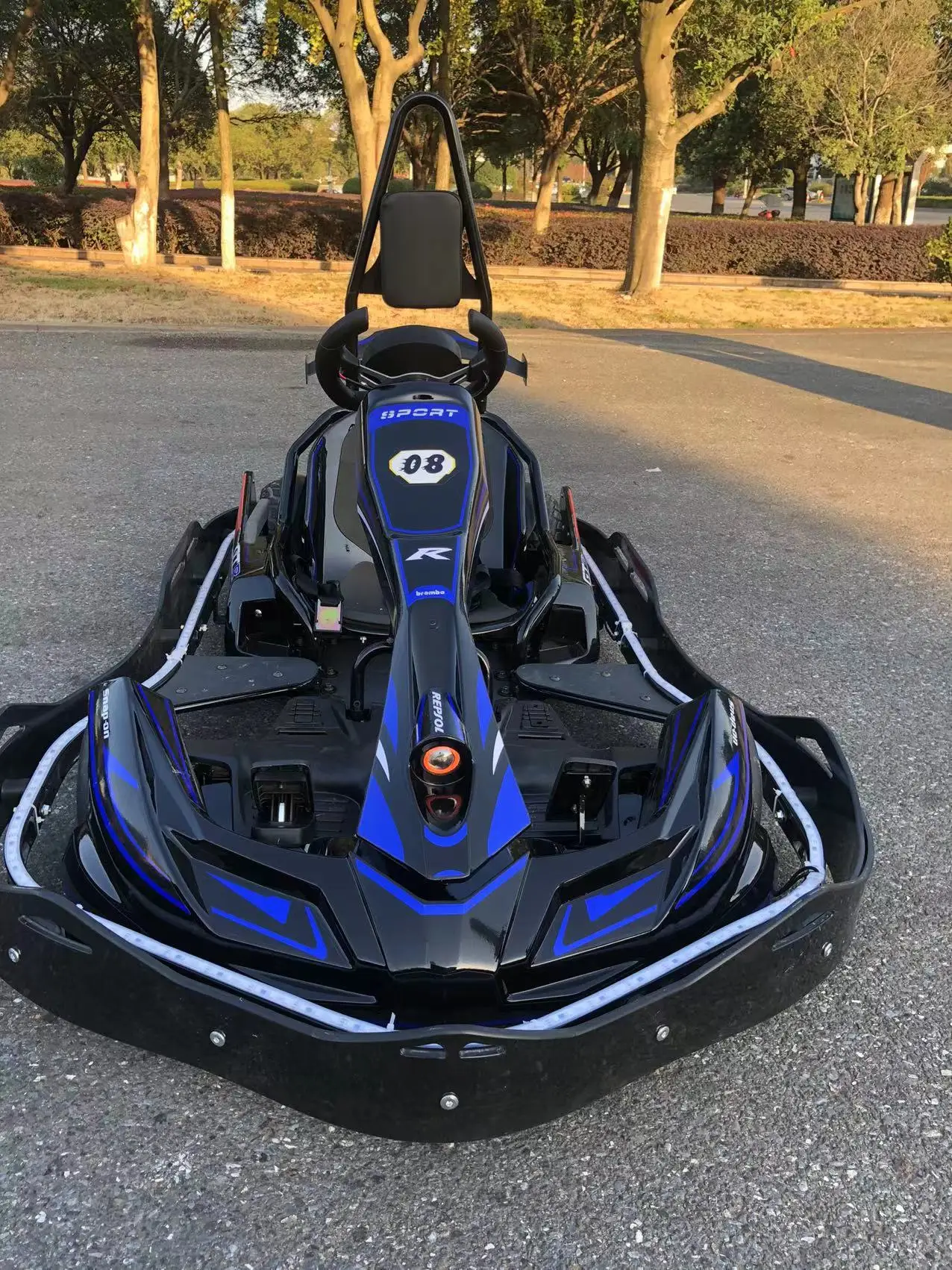 China factory outdoor sports playground Remote Control Rapid Charge Electric Go Karts with great design
