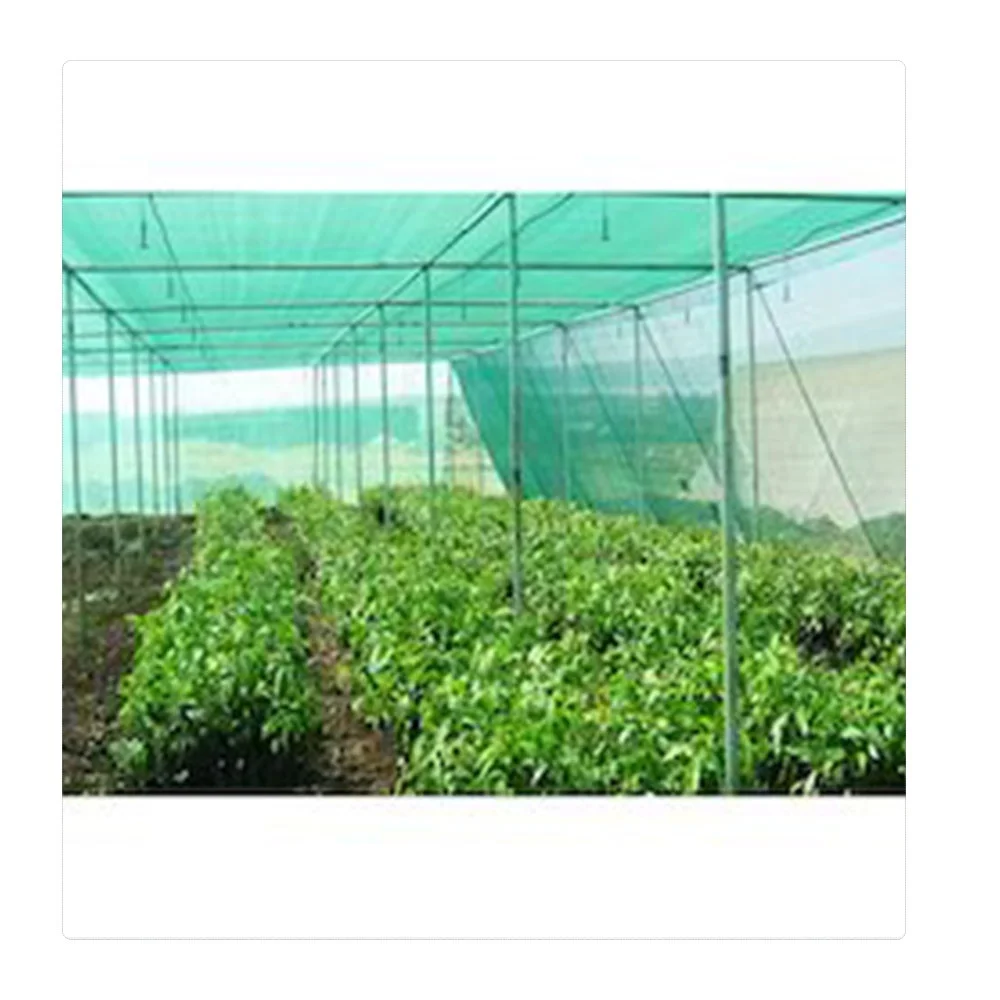 High quality HDPE + UV anti sun shade net agriculture