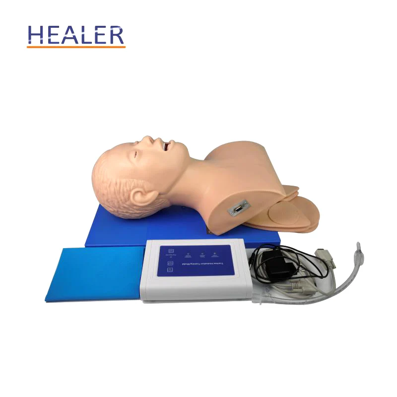 Adult Intubation Manikin, Used Airway Trachea Intubation Medical Training Manikins