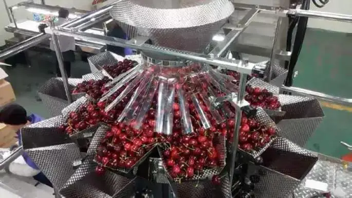 Automatic Multihead Weigher Weighing Sealing Cherry Plum Packaging Machine Plastic Box Tray Filling Line