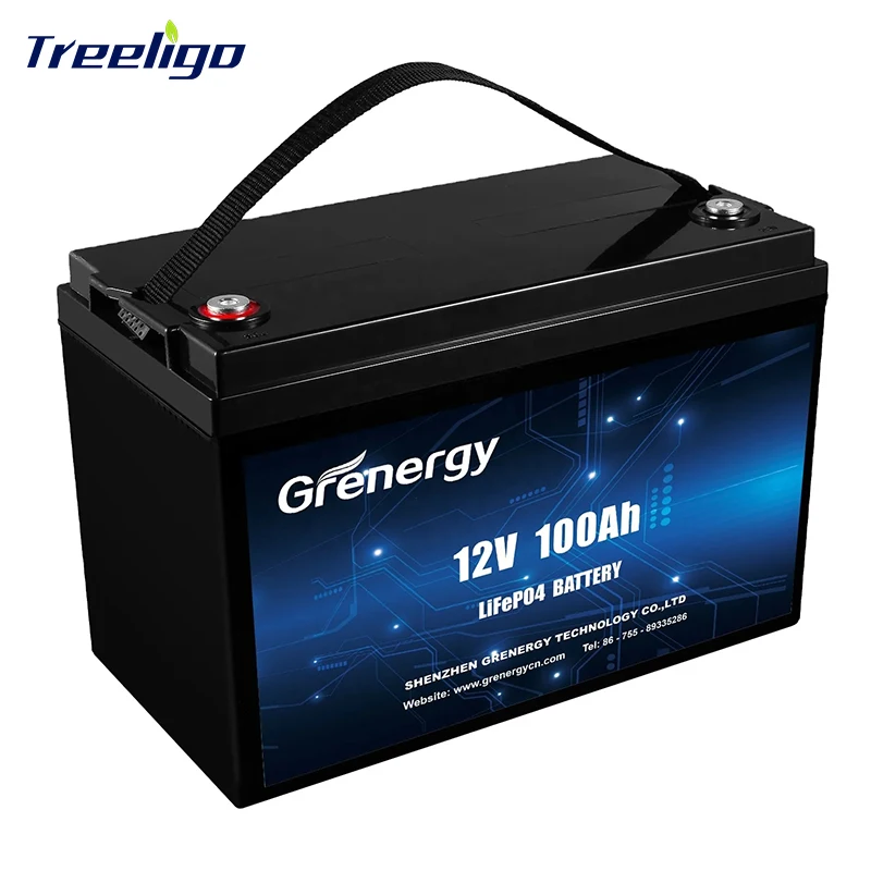 10 years Manufacturers deep cycle smart bms lifepo4 12v 100ah battery pack for SUBMARINES Solar Energy Storage Systems golf car