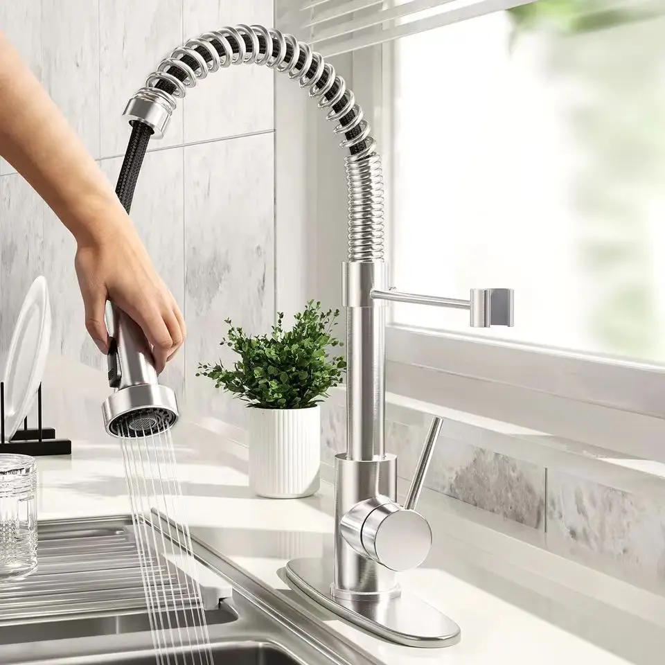 Kitchen Faucet with Pull Down Sprayer Brushed Nickel Stainless Steel Single Handle Pull Out