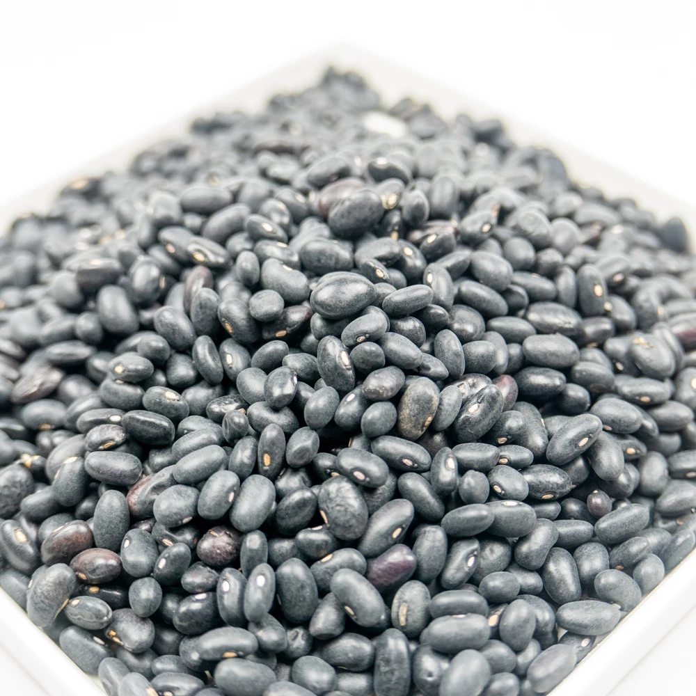 
new crop premium grade china black beans 