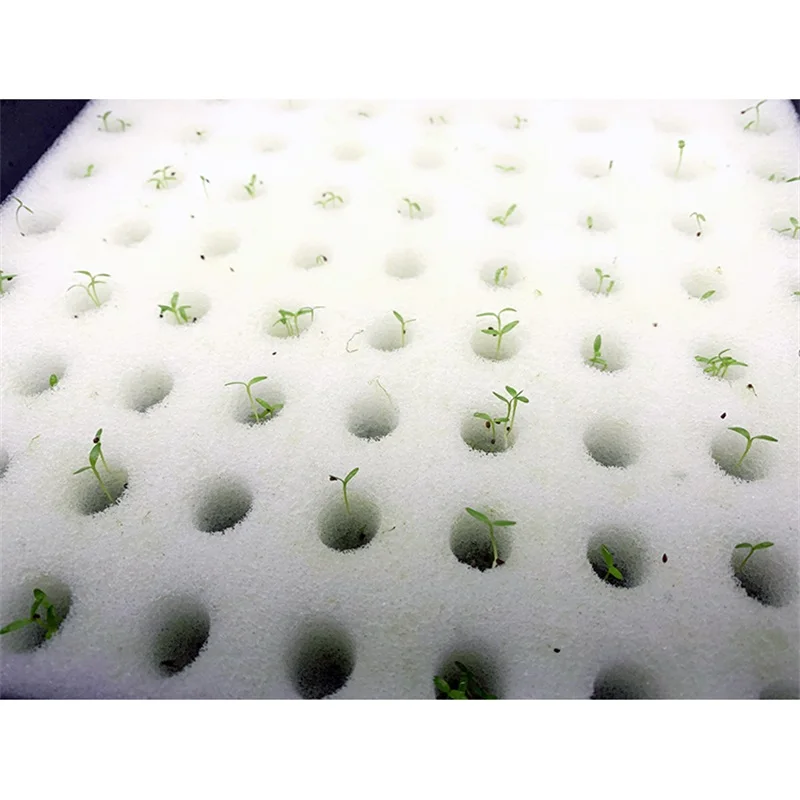 100pcs/sheet Garden Cultivation Plant White Vegetables Nursery Pots Cloning Collar Sponge Soilless Culture Planting Hydroponics