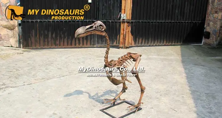 My Dino Extinct Realistic Life Size Animal Complete Dodo Skeleton