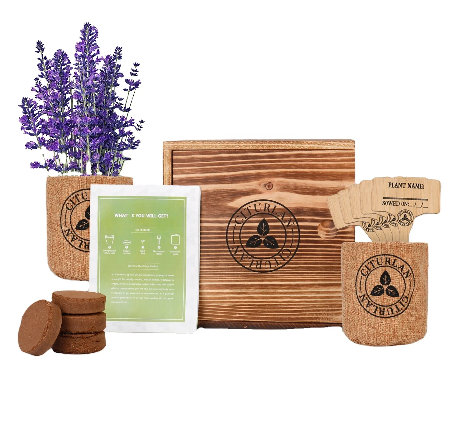 
USDA Organic Non GMO Lavender seed starter kit for Garden gift 