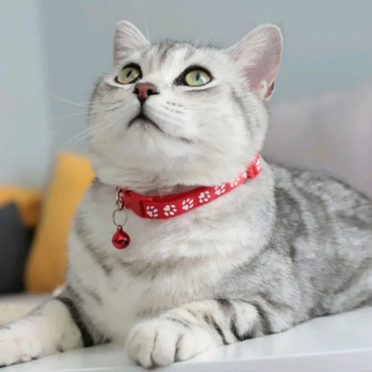 Factory cheap custom adjustable hardware pet cat hunting rose gold cat collars dog collars wholesale