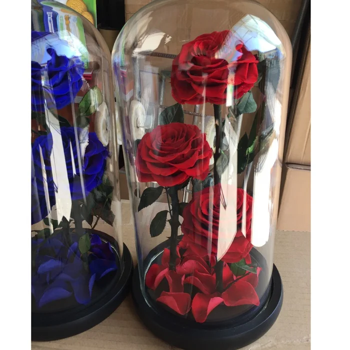 Натуральные тройные консервированные розы в стеклянном куполе в качестве подарка