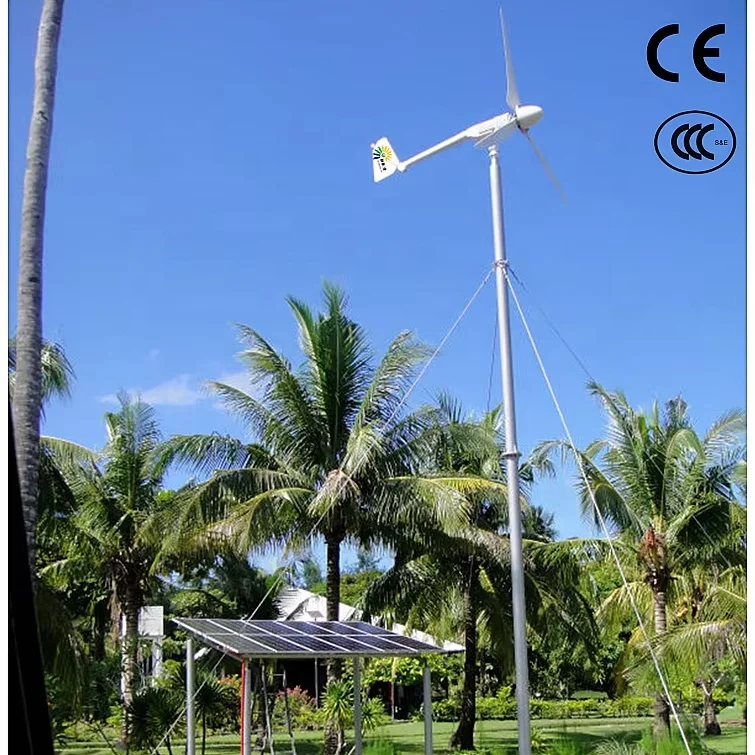 HENRYD 1000W wind mill 24V 48v 120v 240v Horizontal Wind Turbine Generator 1KW
