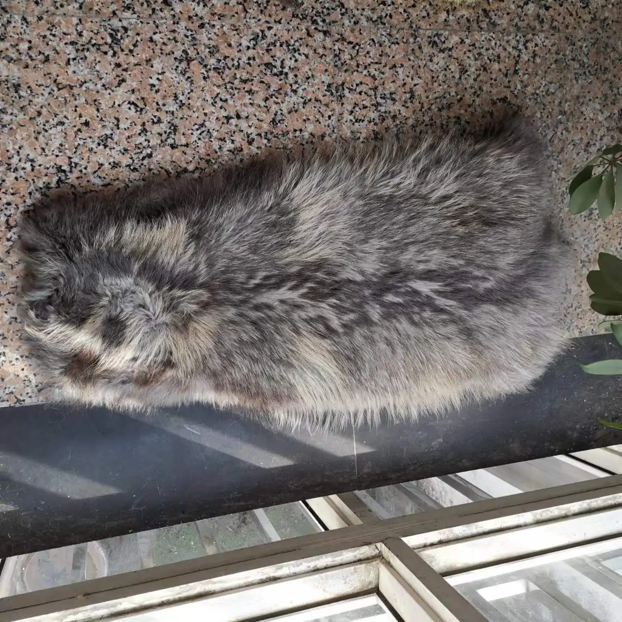 high quality Chinese raccoon skin fur pelts