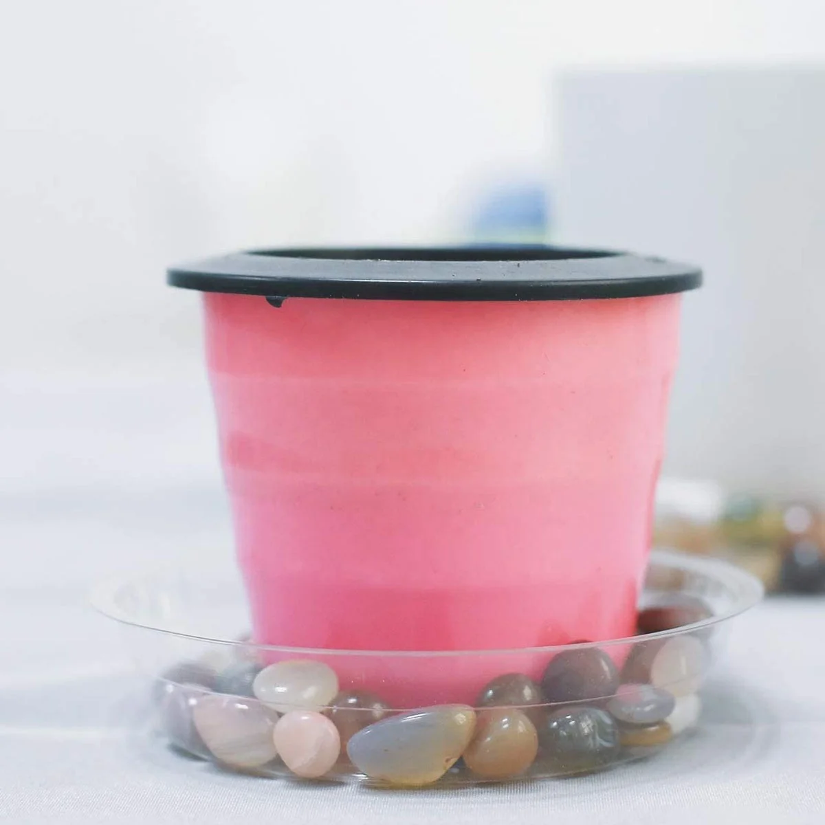 Plant Saucer Drip Tray 6 810 12 inch Clear Heavy Sturdy Plastic Planter Flower Pot Saucers for Indoor Outdoor Garden