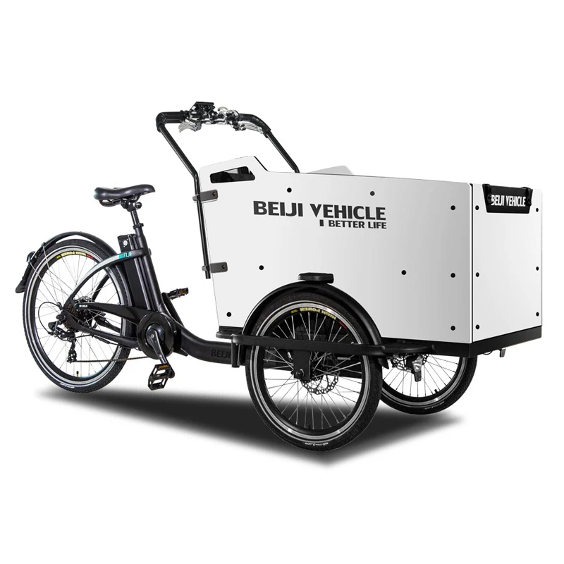 250w electric cargo bike manufacture  3 wheel tricycle for family bike with seats