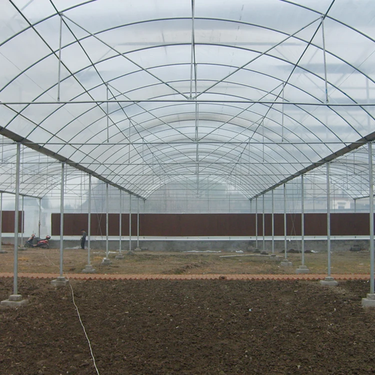 MYXL low cost commercial plastic film agricultural greenhouse manufacturer for sale
