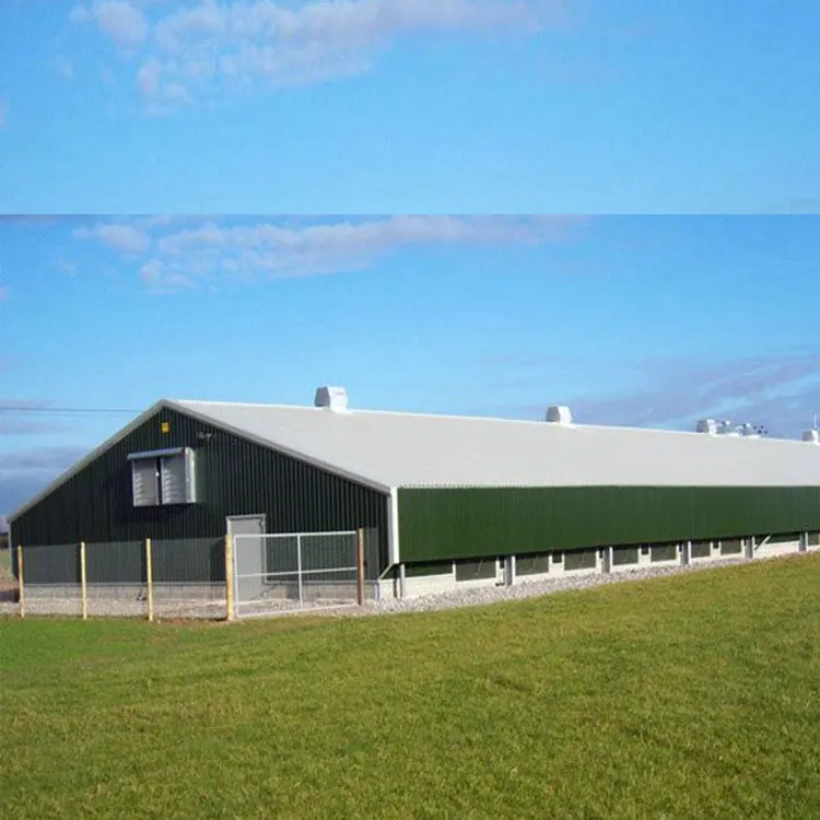 Large Steel Structure Chicken House Building Shed Automatic Chicken House Farm Line System