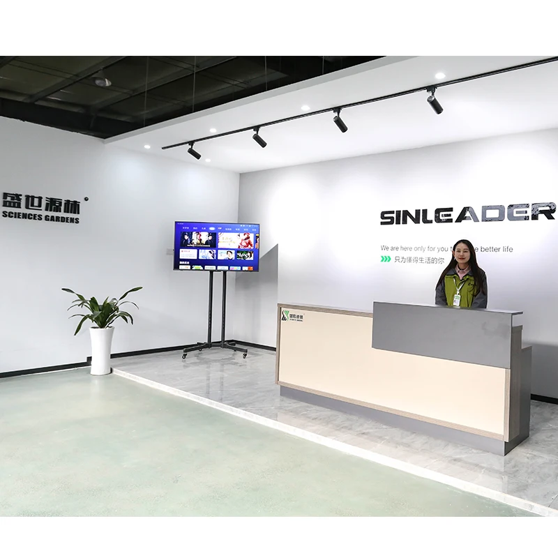 Sinleader 12v 0.55MPA Single Diaphragm Electrical Micro Water Pump