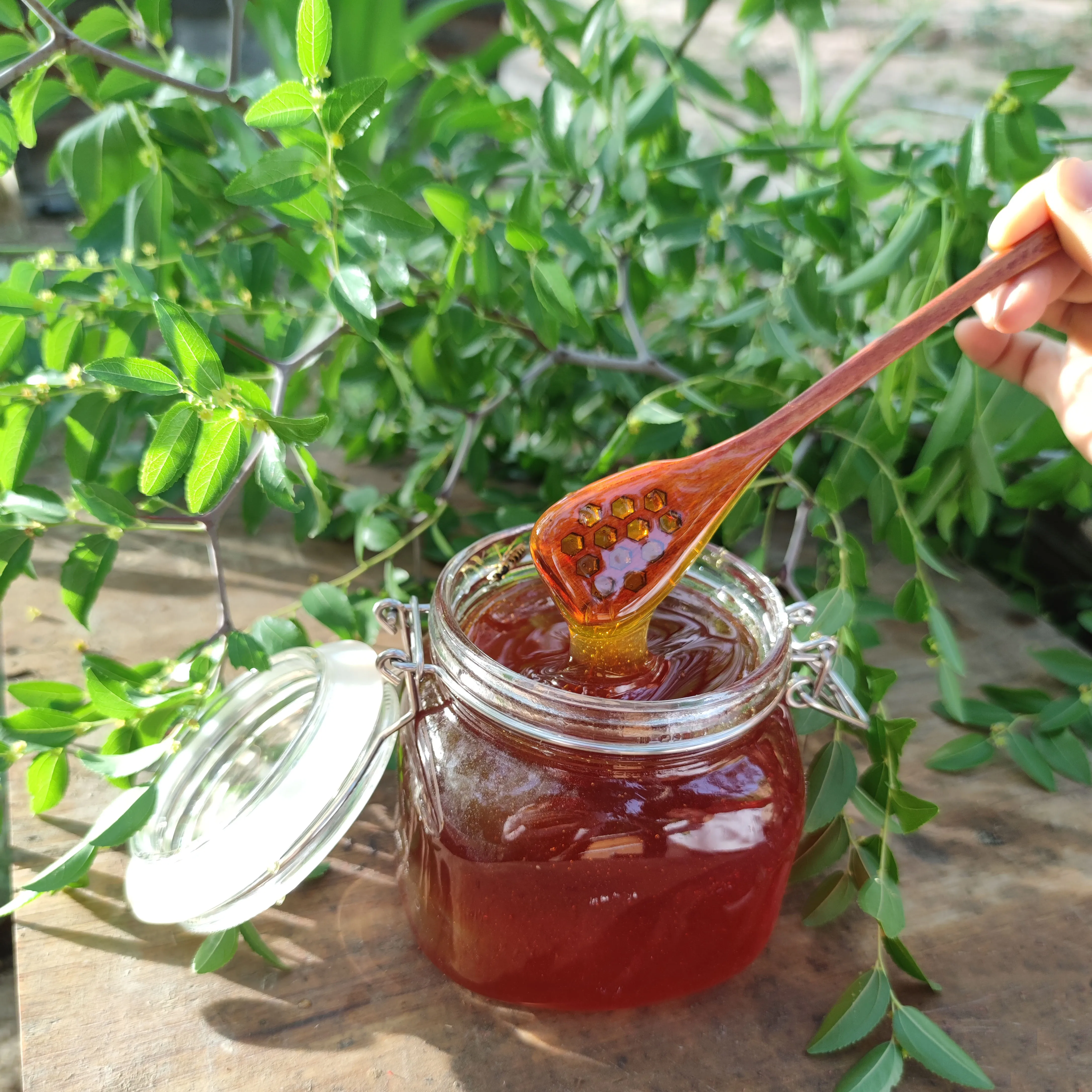 Pure Organic Sidr Honey (Beri) Best Online Price