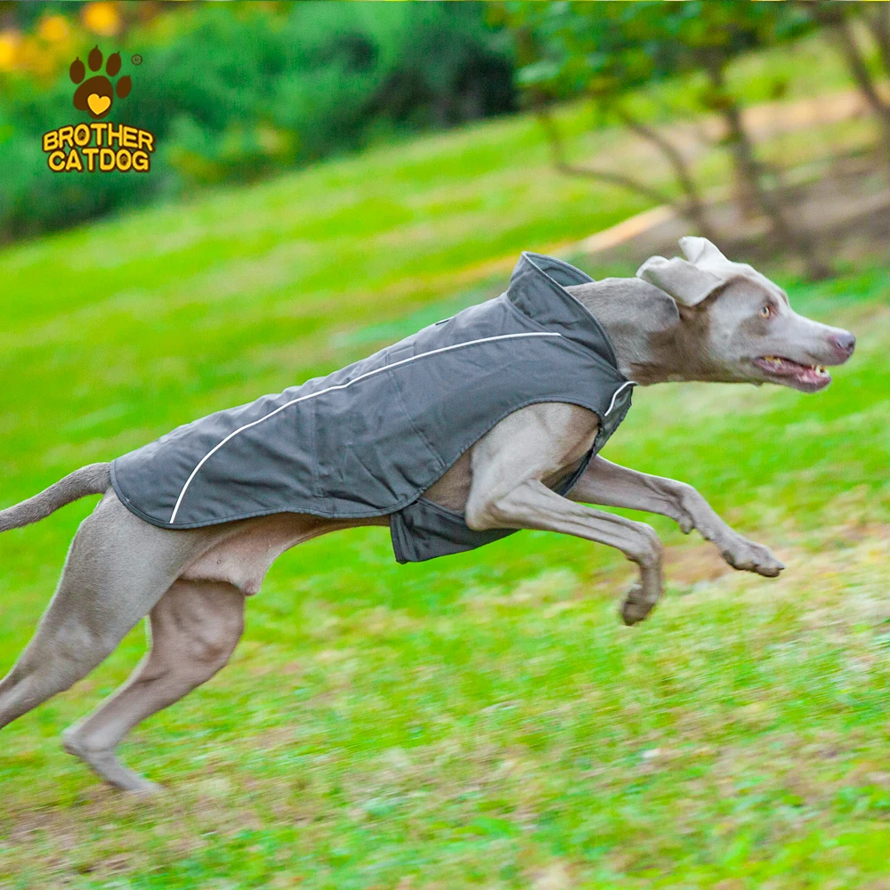 Multiple color pet training coat   big dog hunting clothes   custom logo dog fleece jacket warm body vest