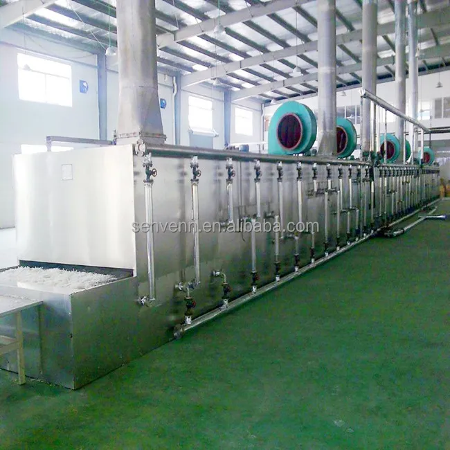 Mesh-Belt continuous Drying machine for Dehydrated vegetables and mango dryer