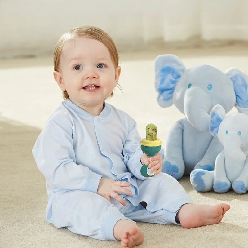 OEM 500Pcs Fruit Feeder Silicone Fruit Feeder Baby Fruit Pacifier