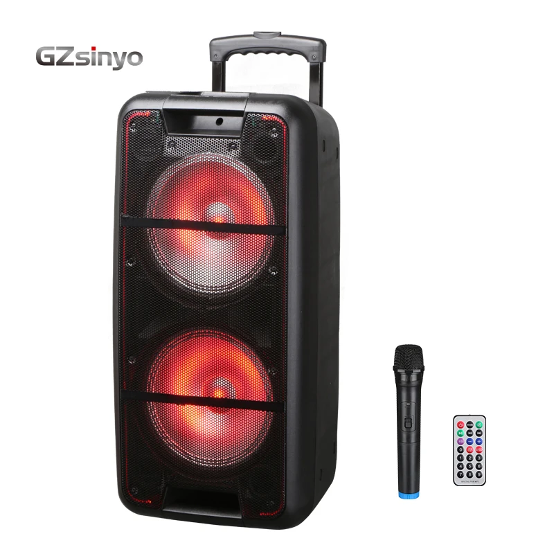double 10inch  trolley   hot sell low price outdoor portable speaker system with usb charger