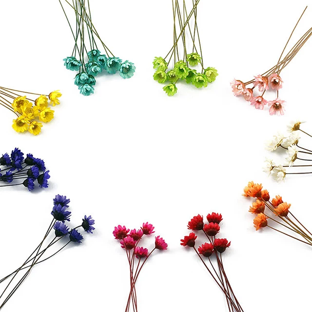 Wholesale 1 Bunch Mini Natural Dry Flowers Daisy Chamomile Bouquet Brazilian Small Star Daisy Decorative Dried Flowers