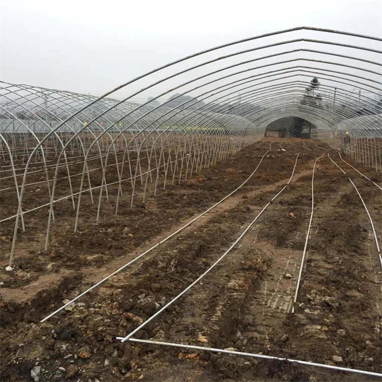 Baolida invernadero size 26ft 100ft plastic PE film high arch tunnel tomato greenhouse