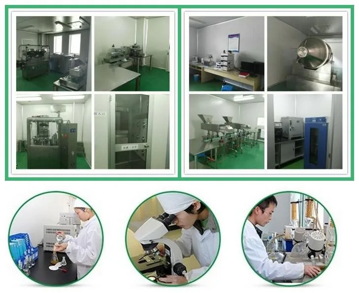 Factory Supply High Quality Ginseng Root Extract Panax Ginseng Extract Ginsenosides Powder