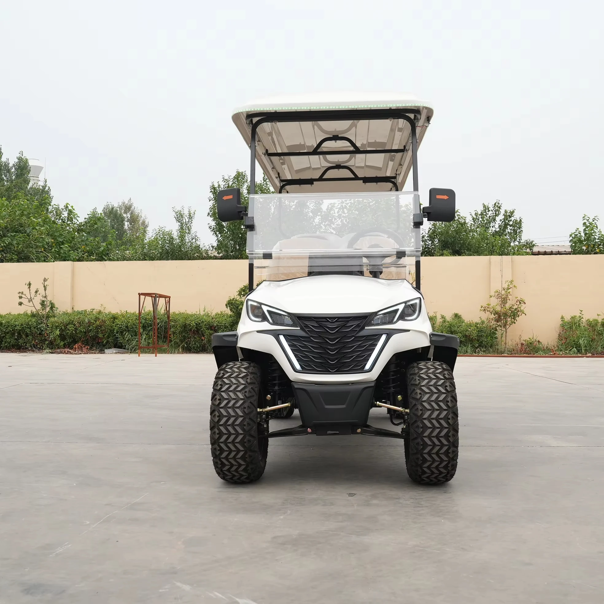 Beemotor Chinese Stand Up Goft Carts Electric golf cart with remote control