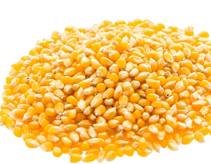 
Natural Food Non Gmo Types Yellow Vacuum Packed Sweet Corn Canned 