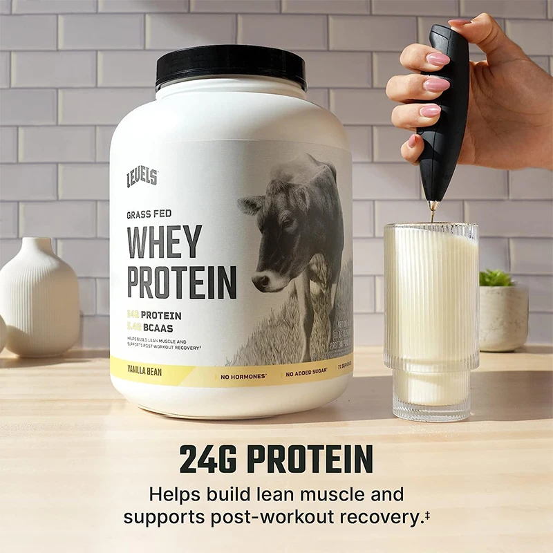 Wholesale Nutrition Muscle Building Healthcare Supplement Whey Protein Powder