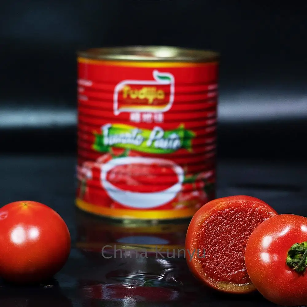 Kunyu Canned food tomato paste price cheap tin tomato sauce in drum easy open from factory  70g 210g 400g 2200g