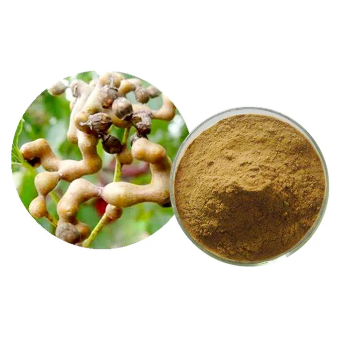 100% high quality Raisin Tree Seed Extract Semen Hoveniae Extract powder