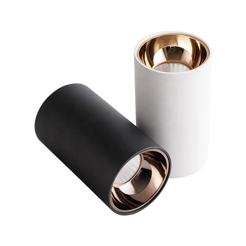 IP65 IP20 Outdoor ceiling lights surface mount 3000k 4000K 5700K 6500K downlight surface mount round in mini led dimmable