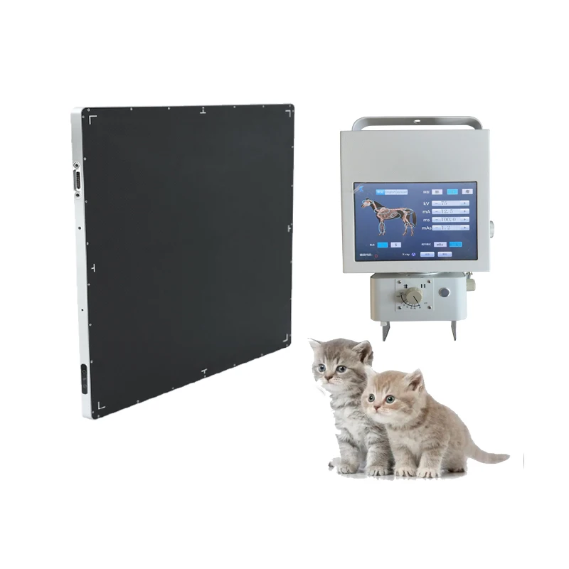 cheap veterinary 5kW portable x ray machine pet digital 100mA mobile high frequency x ray machine with DR